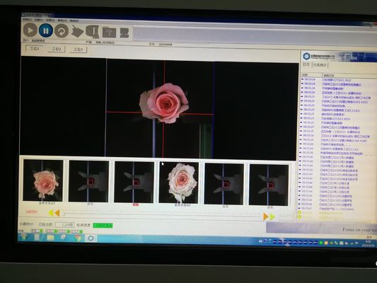 Ταξινομώντας εξοπλισμός λουλουδιών CE Focusight 8000 κλάδοι ανά ώρα